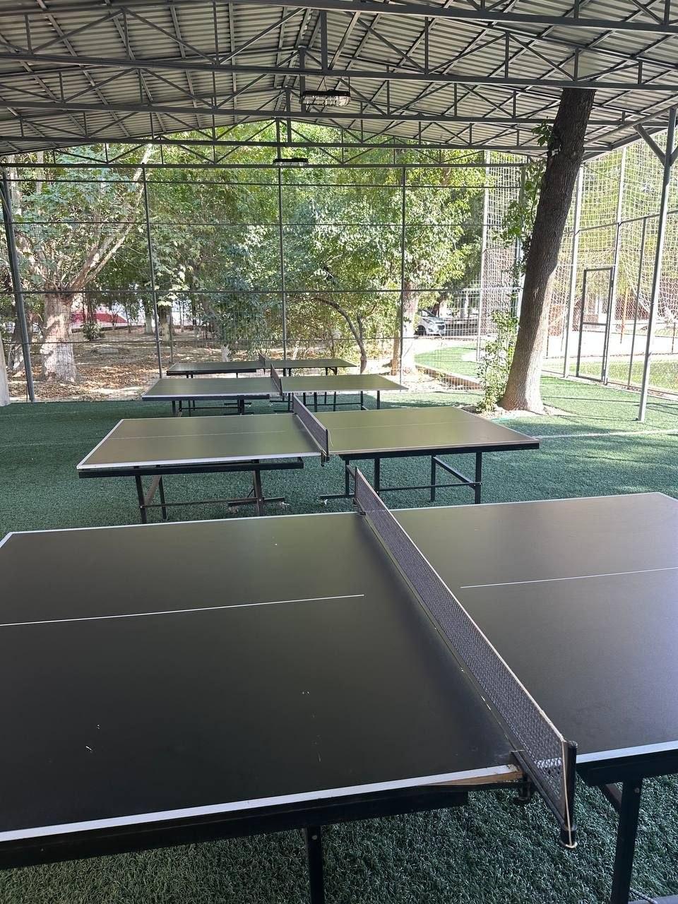 Panda tennis studio image