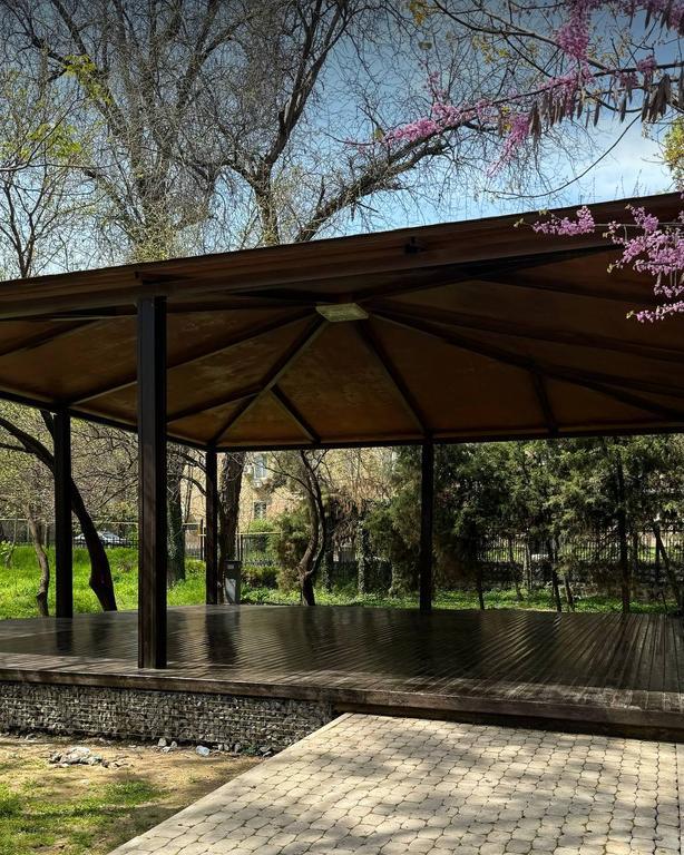 Йога с Лазизой — фото 2