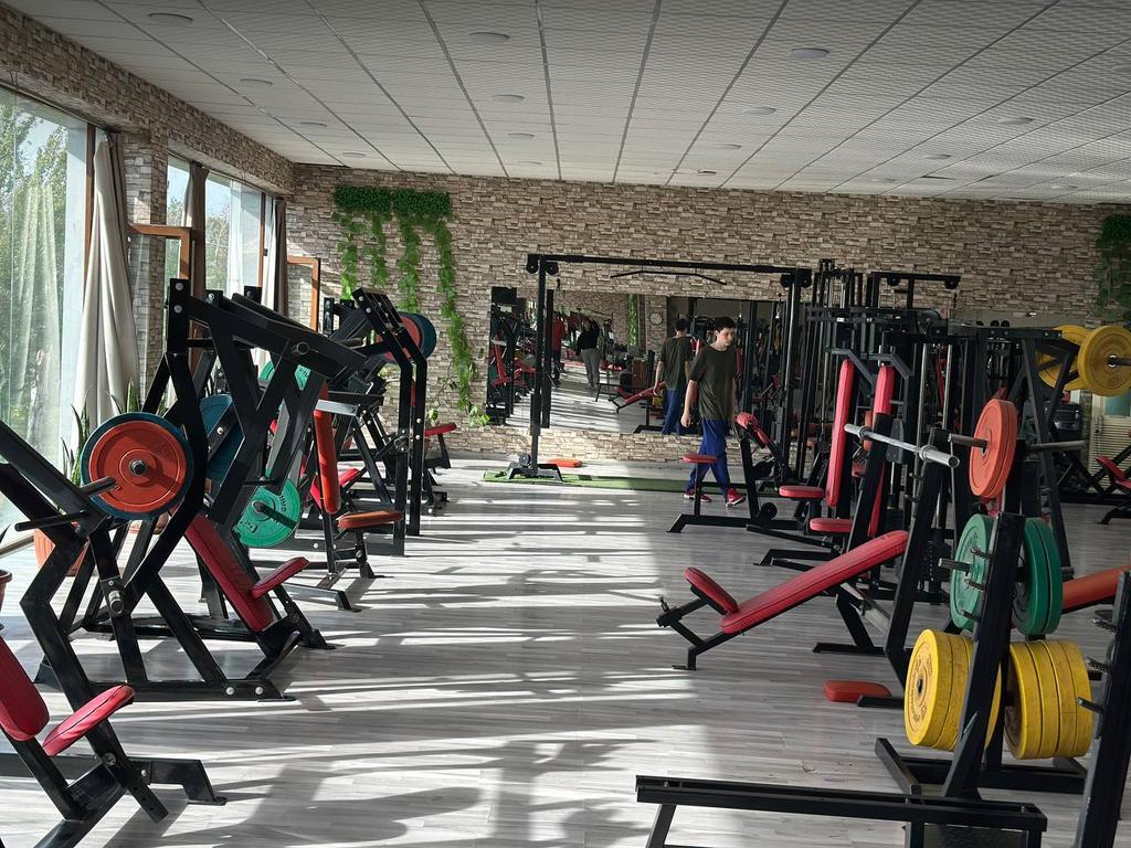 OLYMP — фото 5