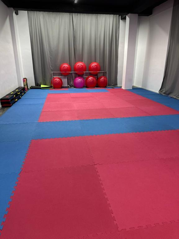 Impulse Pro — фото 4