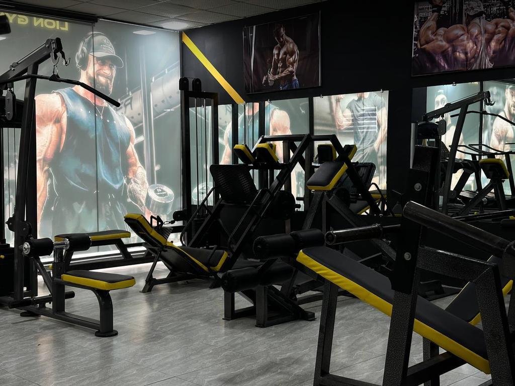 LION GYM — фото 2