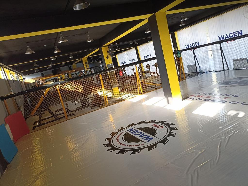 Wagen gym — фото 5