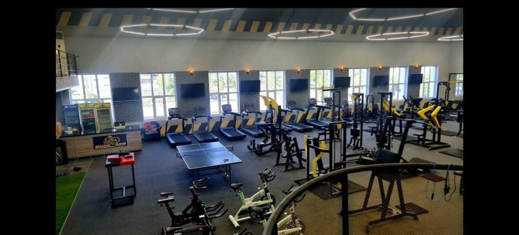 Музик Арм — фото 1