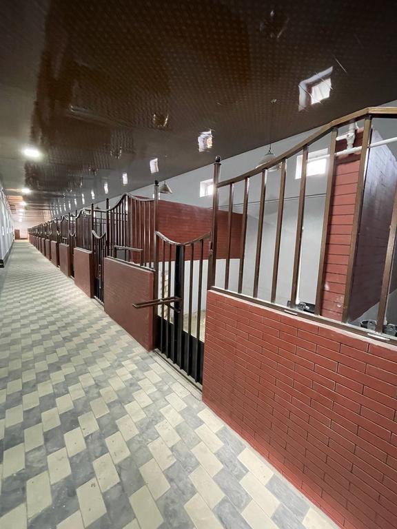 CHAMPION HORSES — фото 4