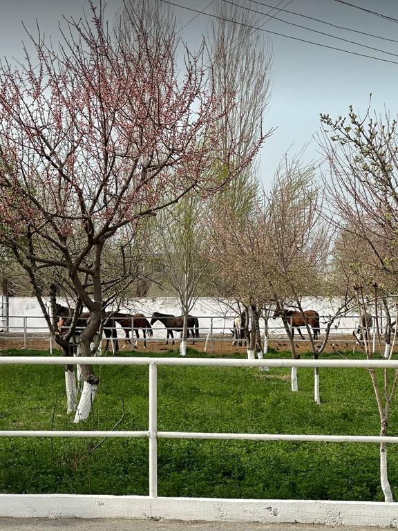 Конный спорт — фото 2