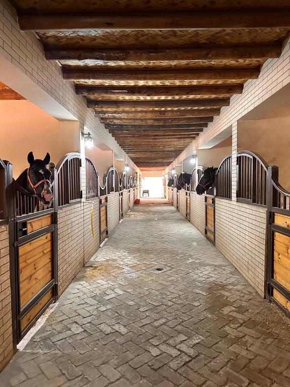 Garden Vibe Horse Club — фото 2