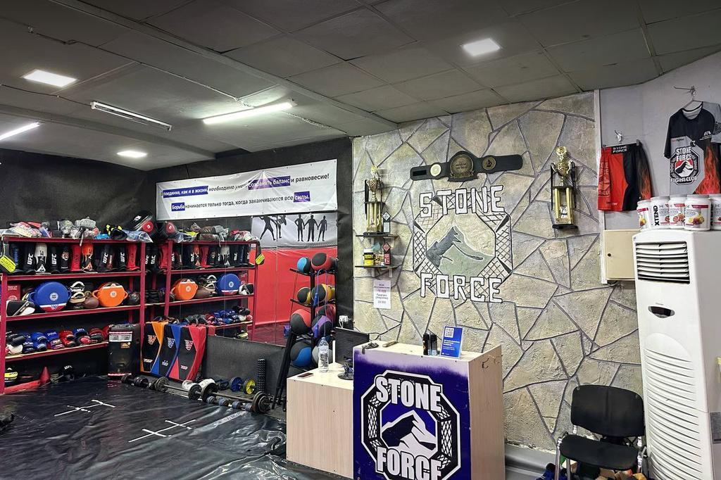 STONE FORCE — фото 1