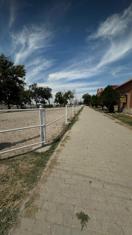 Baraka Riding — фото 2