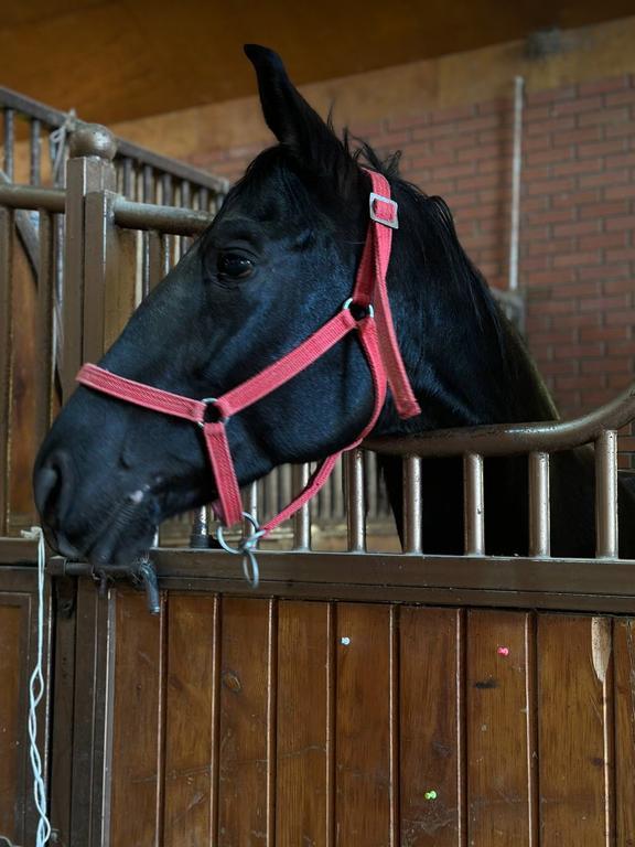 OQTULPOR.UZ — фото 5