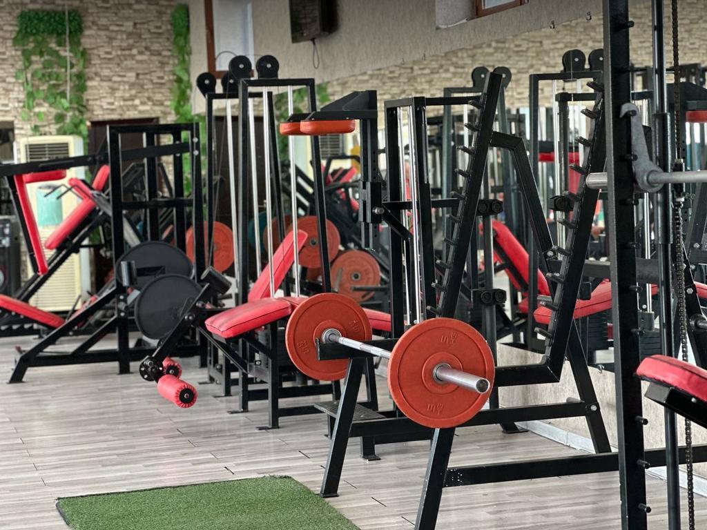 OLYMP — фото 3