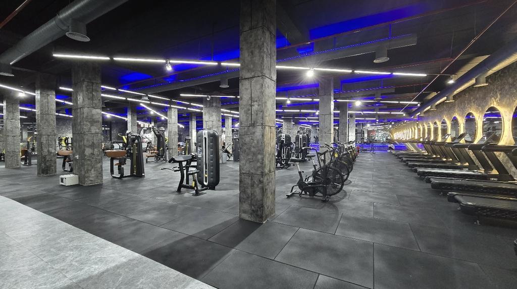 Panda Gym — фото 2