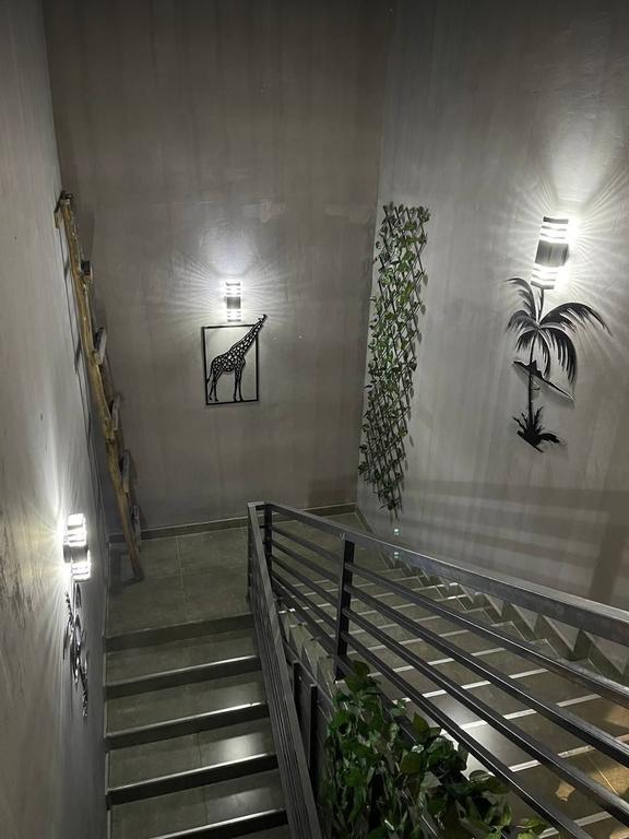 ALLIGATOR — фото 9