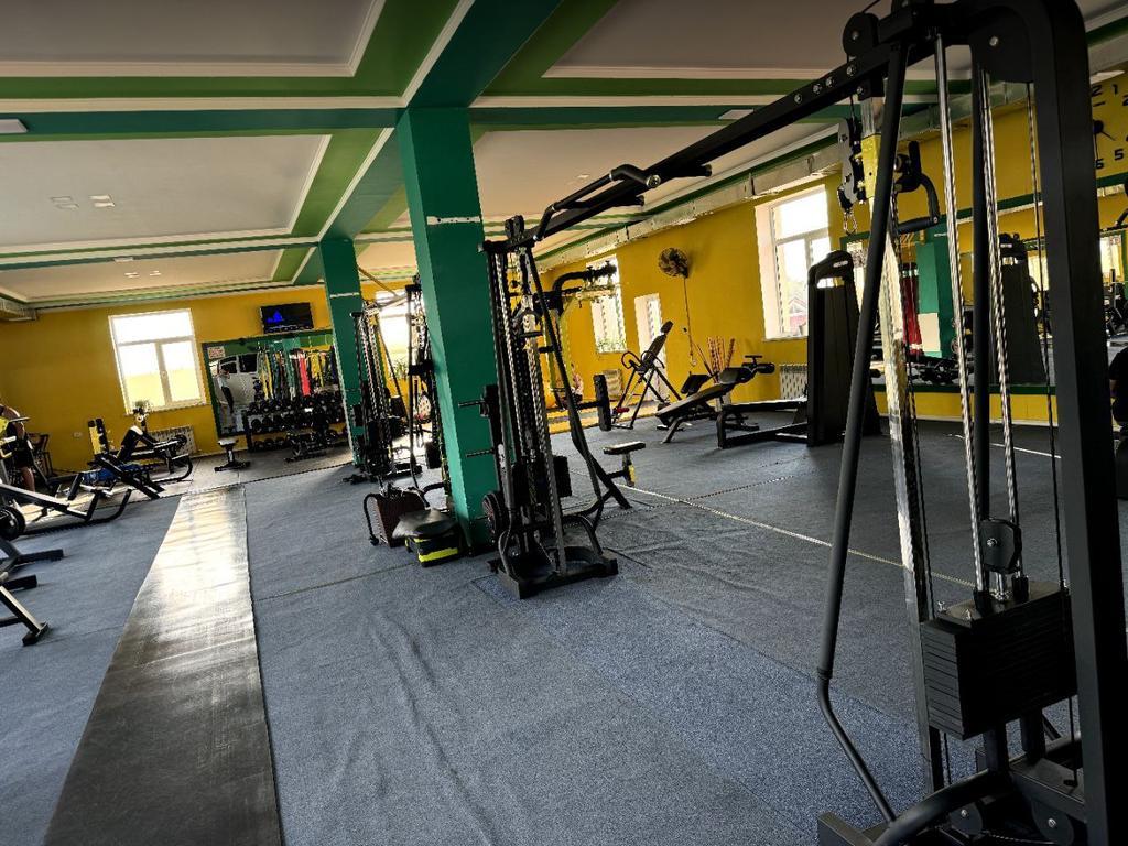 Alo fitness — фото 2