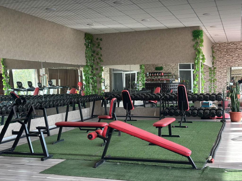 OLYMP — фото 7