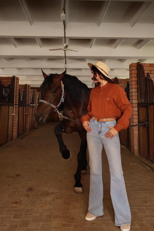 Horse Arena — фото 5