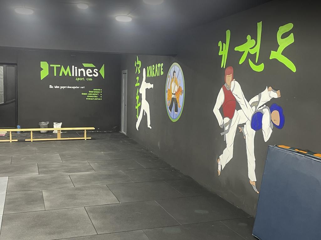 TM lines — фото 2