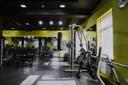 Wellness Fitness