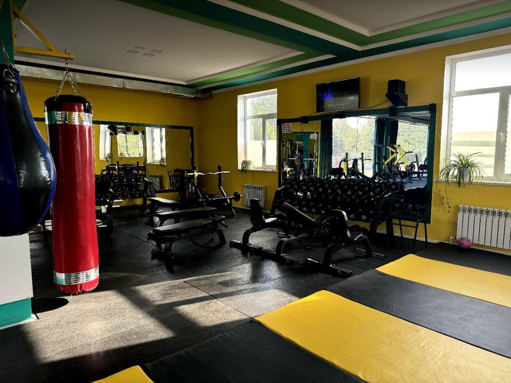 Alo fitness — фото 4