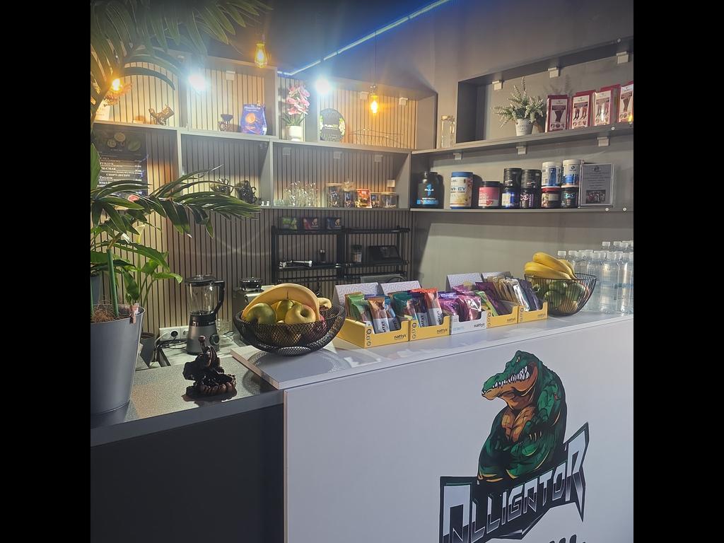 ALLIGATOR — фото 11