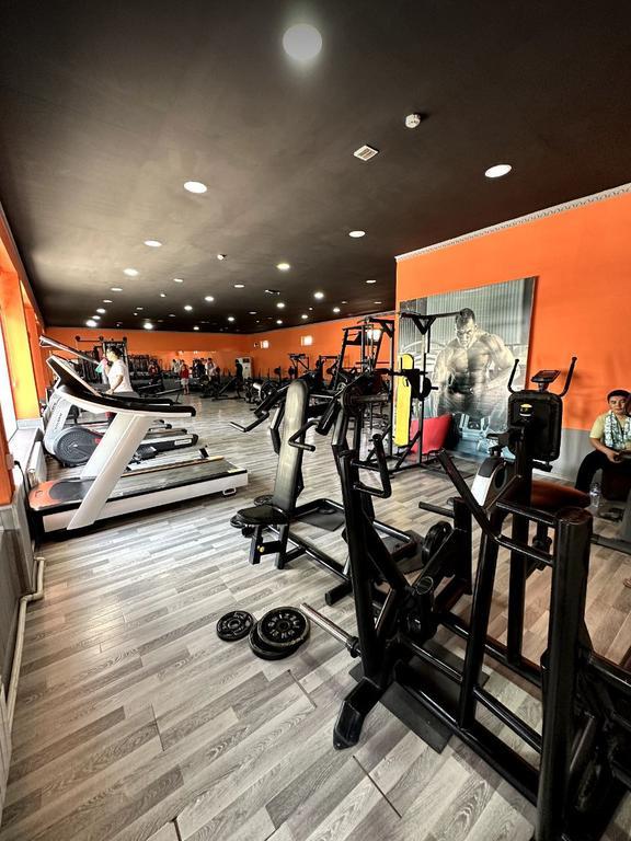 Gold fitnes — фото 2