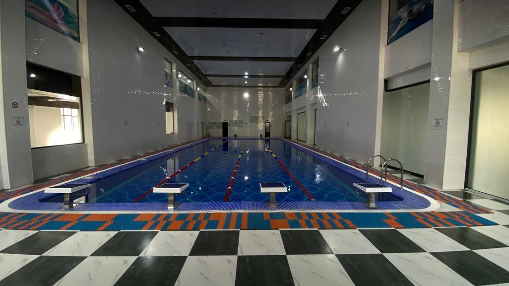 Дельфин — фото 1