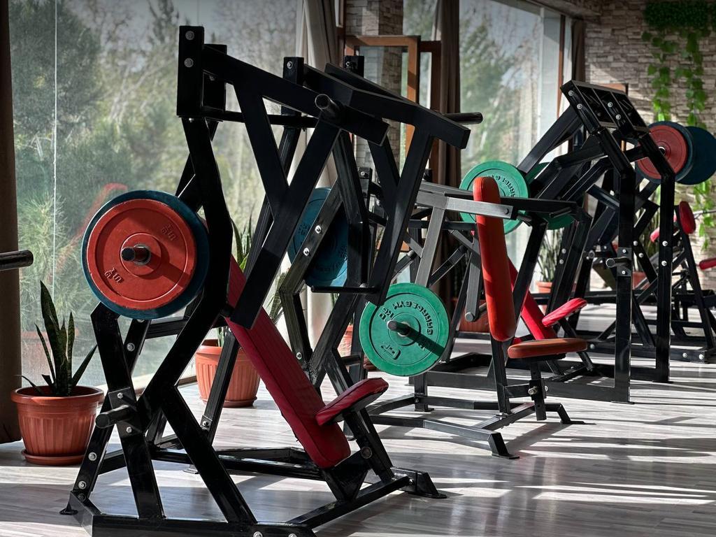 OLYMP — фото 4