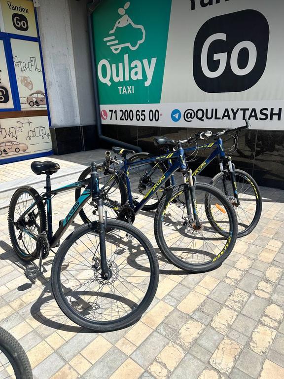 Ko’kcha Сycling & Ping Pong — фото 2