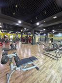 Wellness Fitness