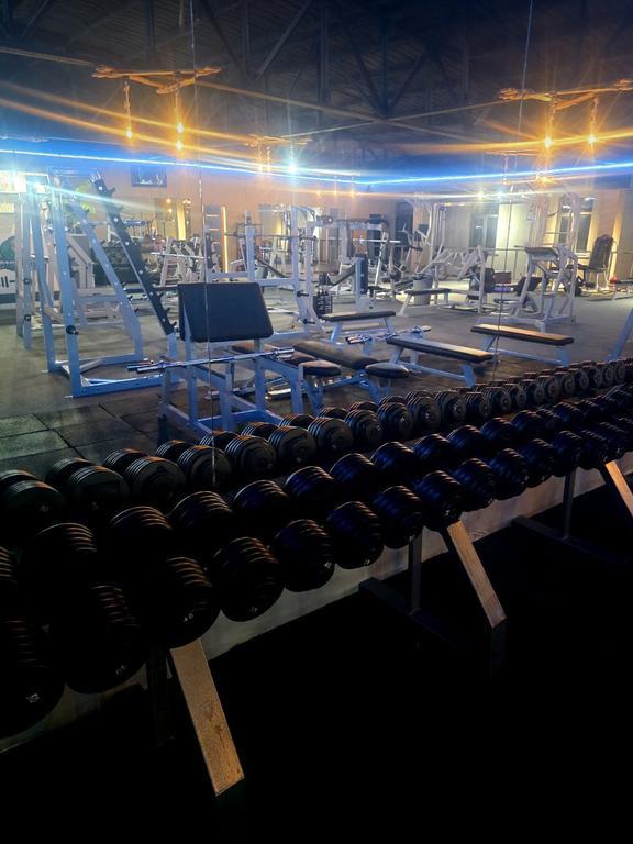 ALLIGATOR — фото 4