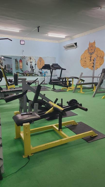 Viking fit — фото 1