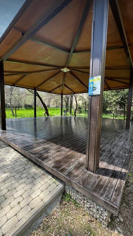 Йога с Лазизой — фото 3