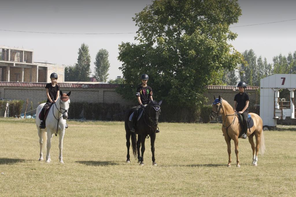 КСК Фазо-Тулпор — фото 8