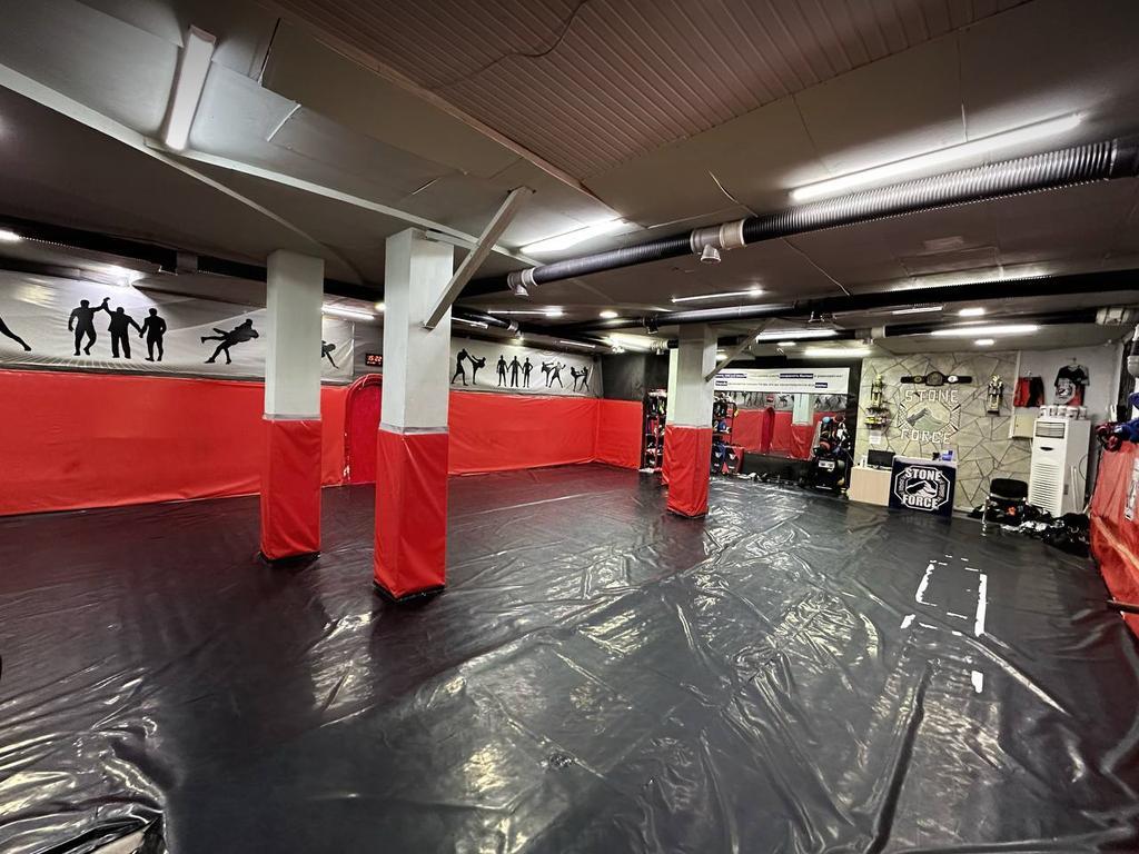 STONE FORCE — фото 2