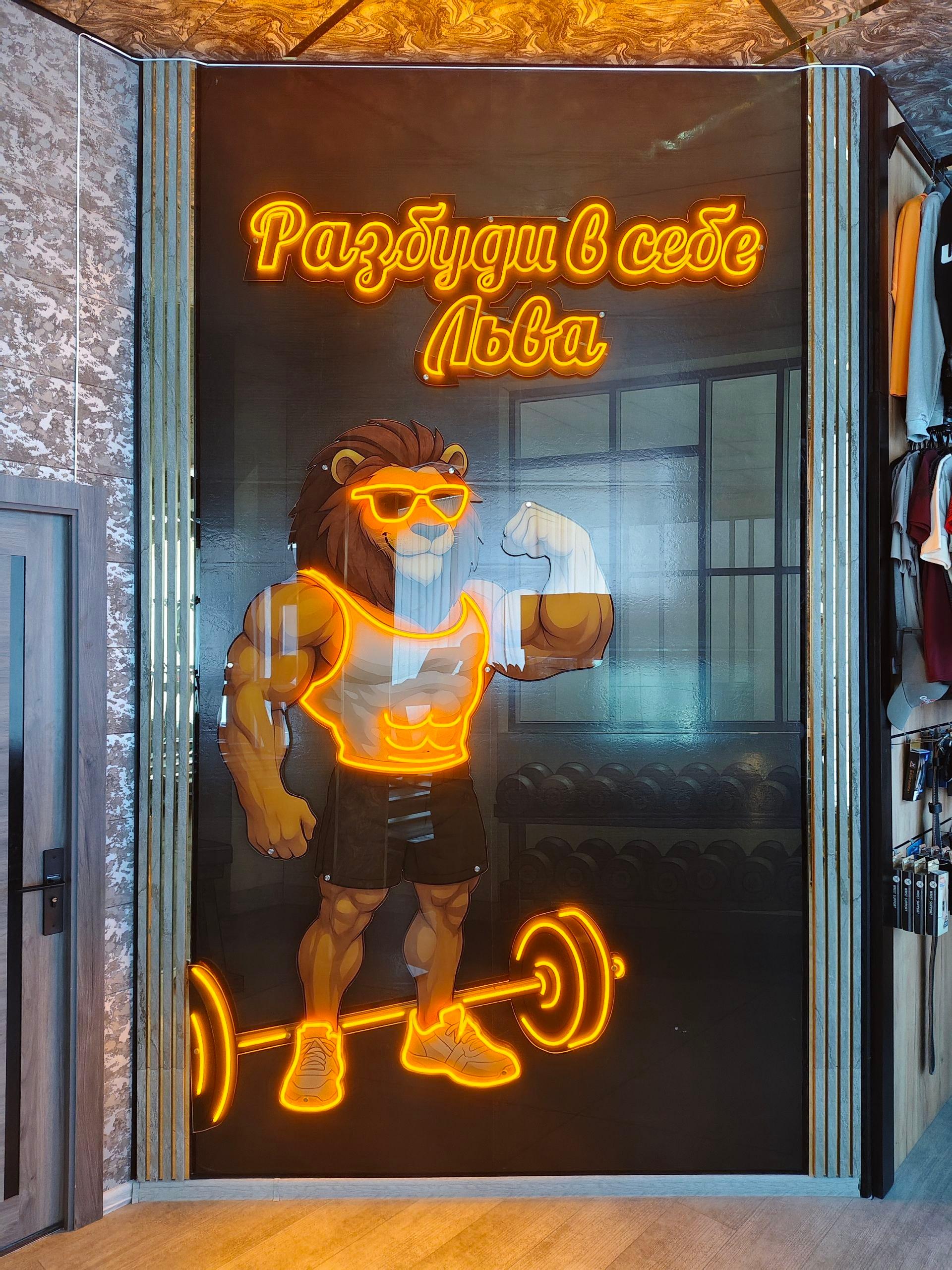 Lion Sport Fitness studio image