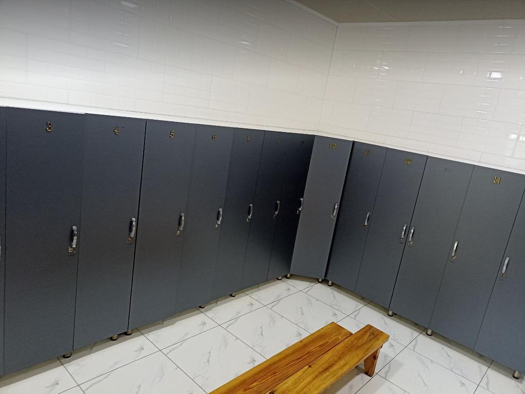 Дельфин — фото 4