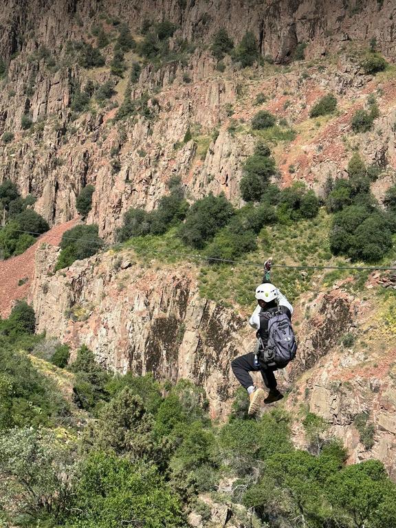 GORILLA EXTREME — фото 3