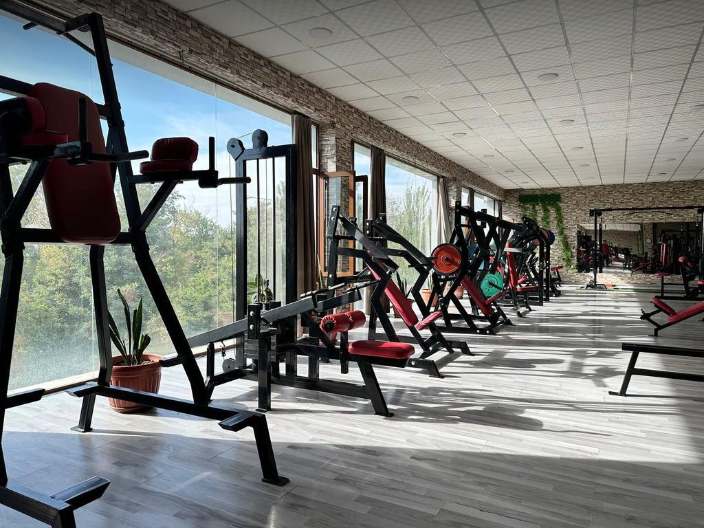 OLYMP — фото 1