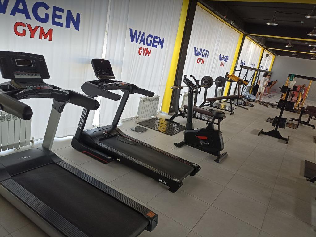 Wagen gym — фото 9