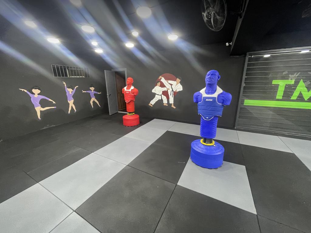 TM lines — фото 4