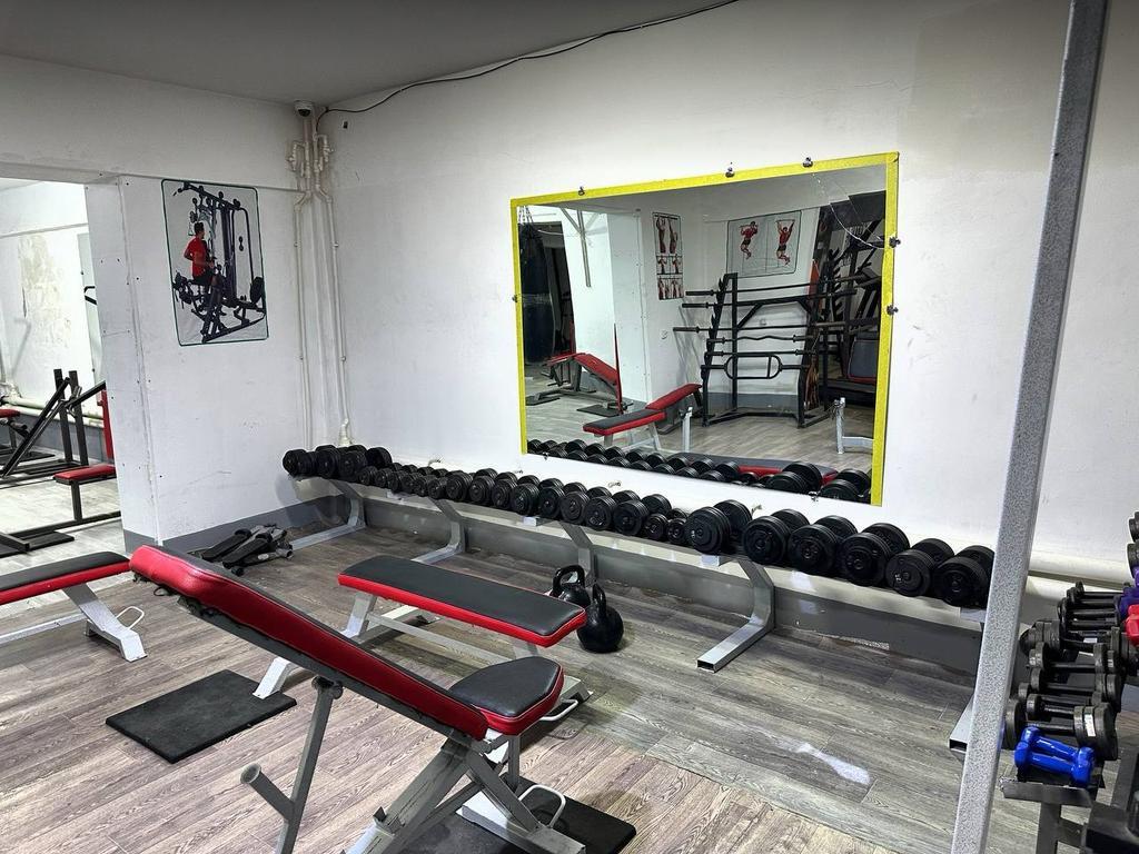 GERKULES — фото 1