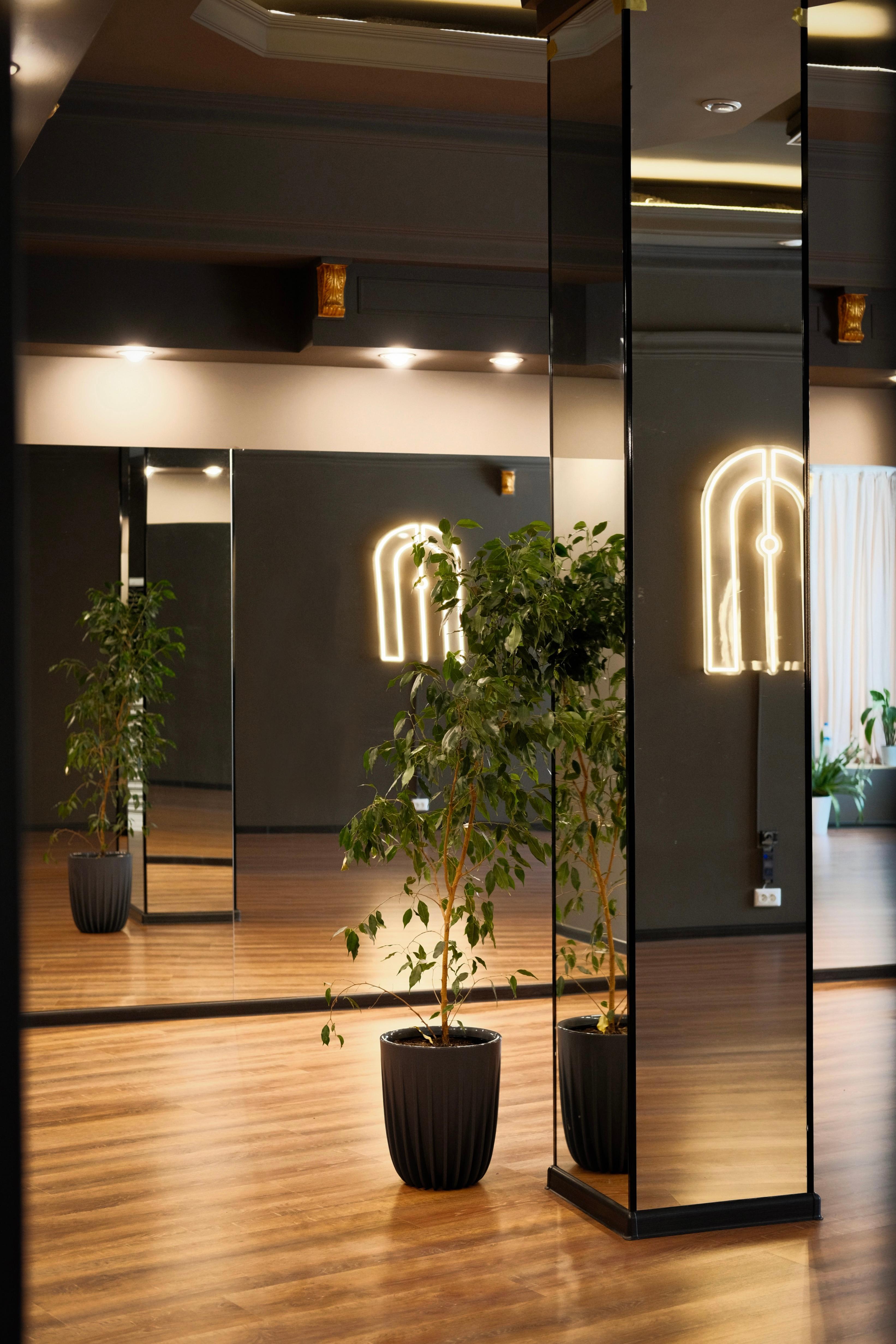 SHAKTI studio image
