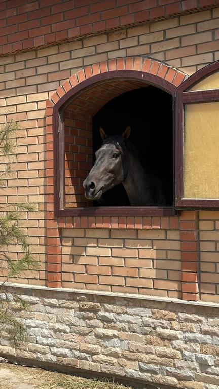 Baraka Riding — фото 3