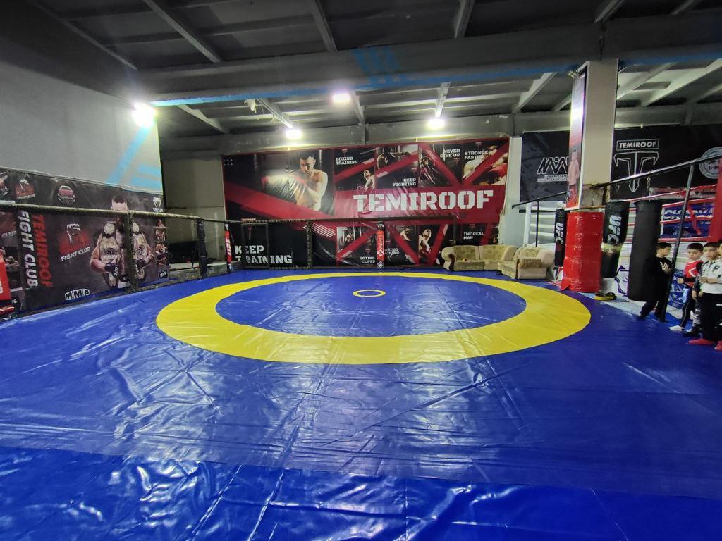 TEMIROOF — фото 7