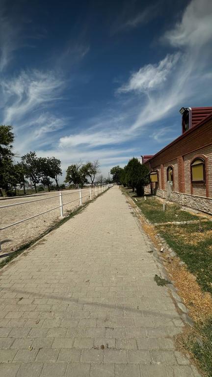 Baraka Riding — фото 6