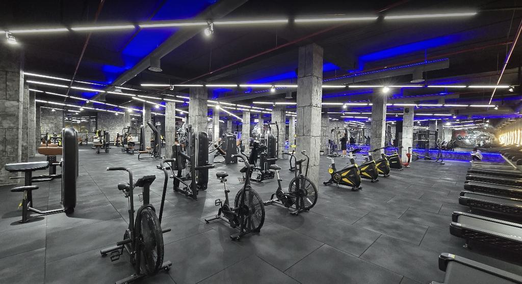 Panda Gym — фото 4