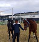 FURQONSTABLES