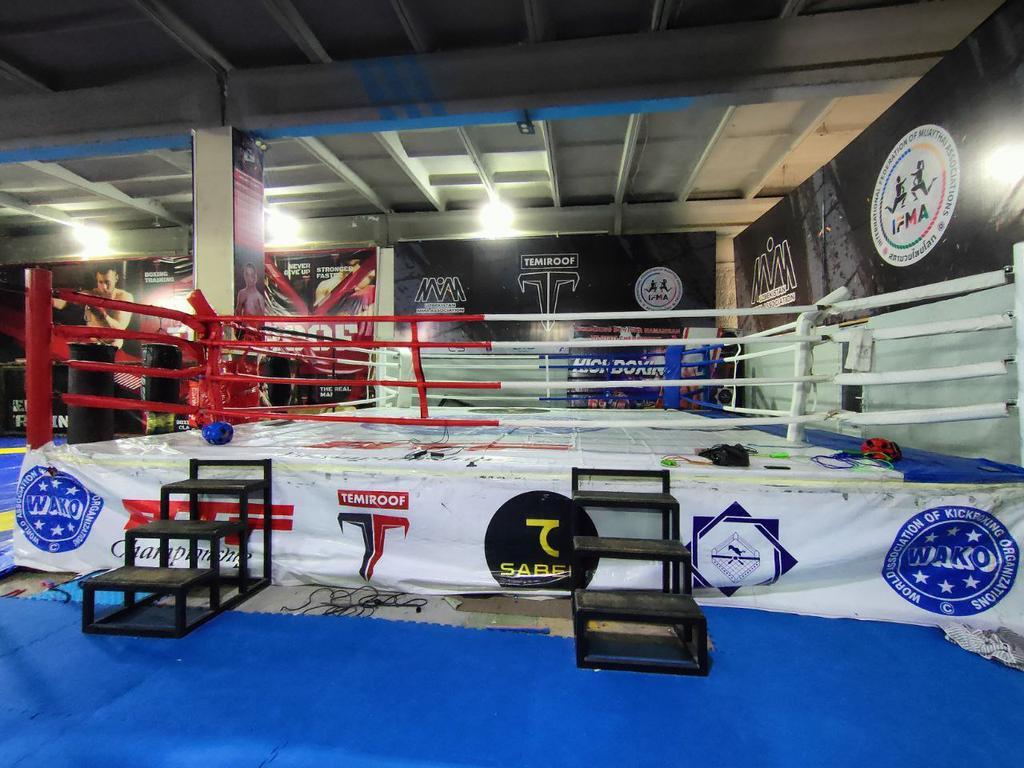 TEMIROOF — фото 4