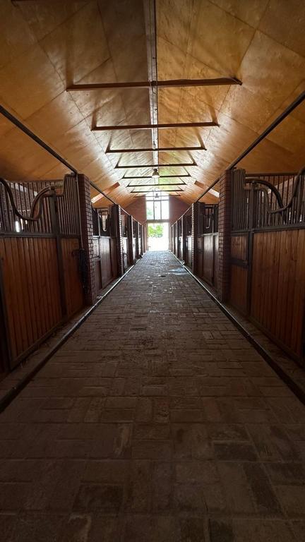 Baraka Riding — фото 7