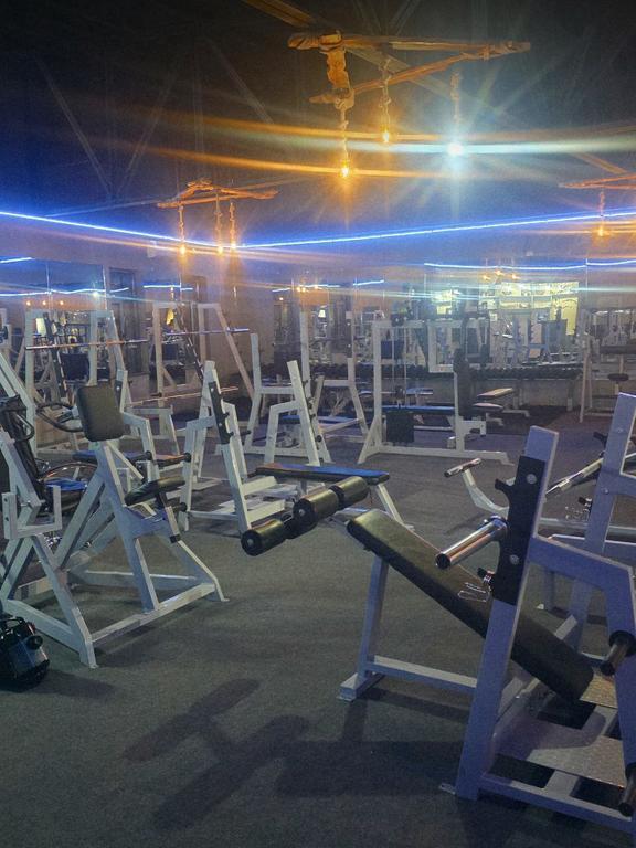 ALLIGATOR — фото 3