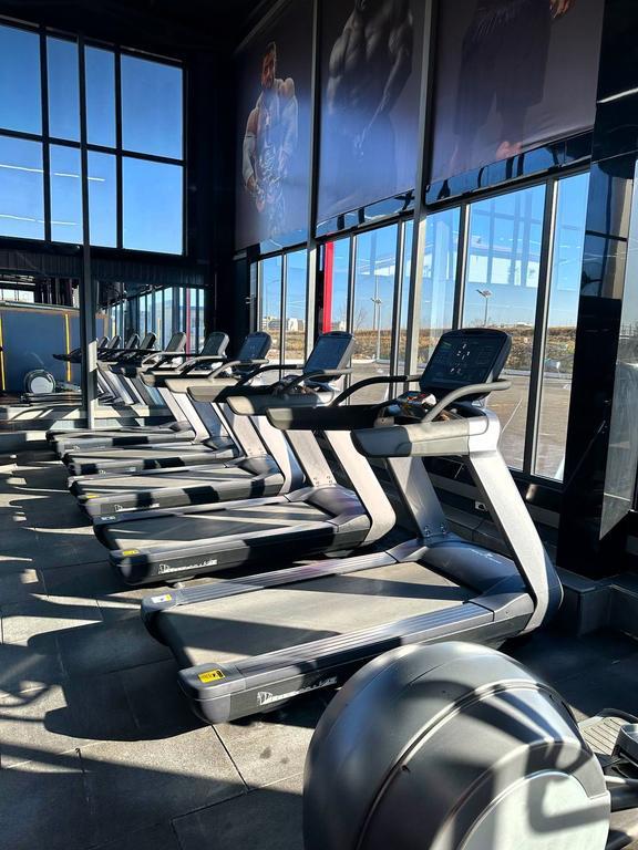 OLYMPIA — фото 8